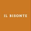 IL BISONTE
