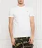 Superdry t-shirt collective tee | regular fit (105805764)