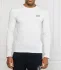 EA7 longsleeve | regular fit (101312393)