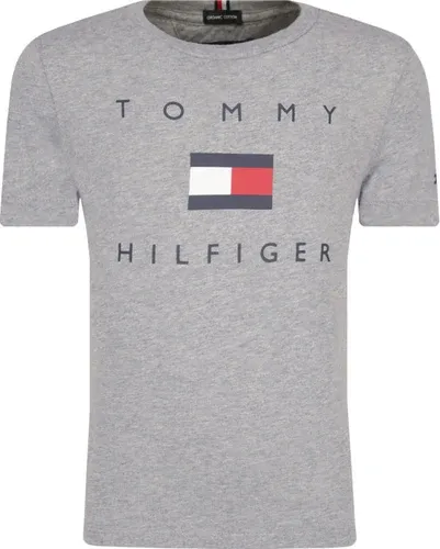 Tommy Hilfiger t-shirt | regular fit (106021021)