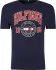 Tommy Hilfiger t-shirt artwork | regular fit (106021959)
