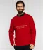 Tommy Hilfiger maglione (106021105)