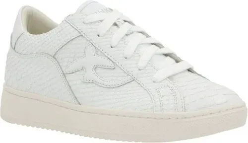 Pinko di pelle scarpe sportive liquirizia (105806750) Pinko di pelle scarpe sportive liquirizia (105806750)