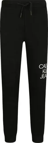 CALVIN KLEIN JEANS pantaloni della tuta | regular fit (101317235)