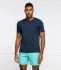 Vilebrequin t-shirt | regular fit (105806929)