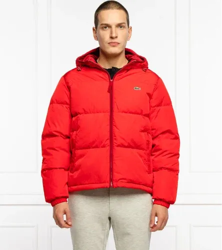 Lacoste piumino giacca | regular fit (106023044) Lacoste piumino giacca | regular fit (106023044)