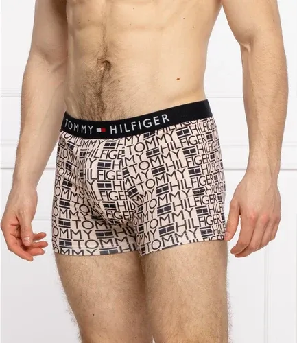 Tommy Hilfiger Underwear boxer (106021654)