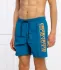 Napapijri shorts da mare victor 1 (101317671)
