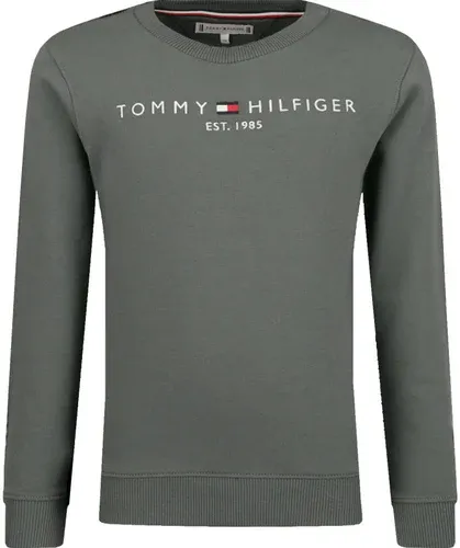 Tommy Hilfiger felpa | regular fit (101319961)