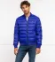 Tommy Jeans piumino giacca | regular fit (101322279)