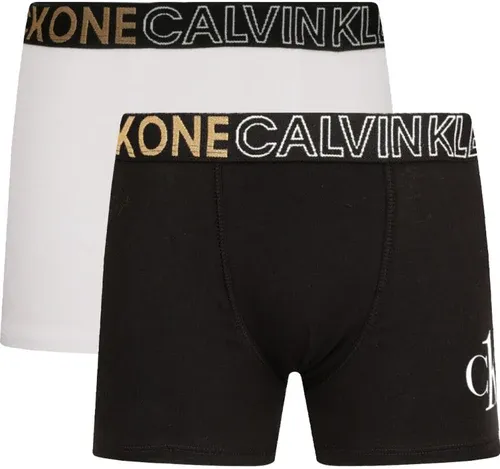 Calvin Klein Underwear boxer 2-pack (101319782)