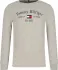 Tommy Hilfiger longsleeve | regular fit (101319972)