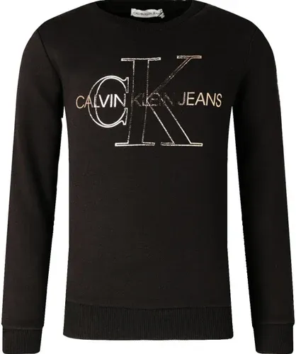 CALVIN KLEIN JEANS felpa | regular fit (101319882)