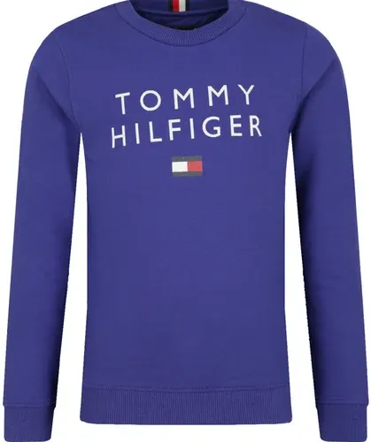 Tommy Hilfiger felpa | regular fit (106022834)