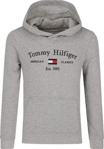 Tommy Hilfiger felpa | regular fit (106022833)