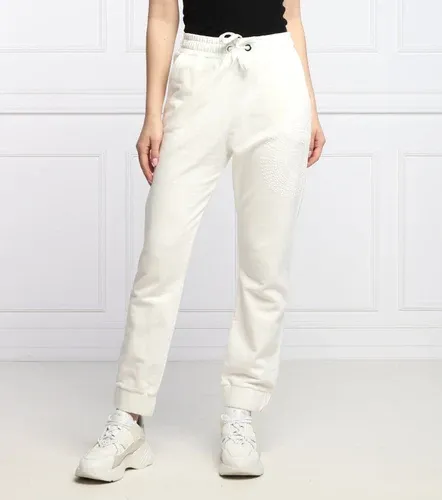 Pinko pantaloni della tuta cacao | regular fit | regular waist (101333497)