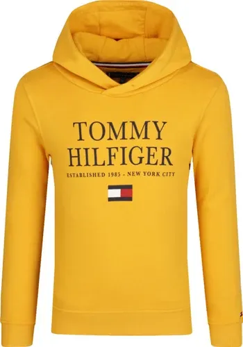 Tommy Hilfiger felpa | regular fit (101328035)