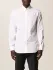 Camicia Dsquared2 in cotone con mini logo (54944185)