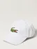 Cappello da baseball Lacoste (56532586)