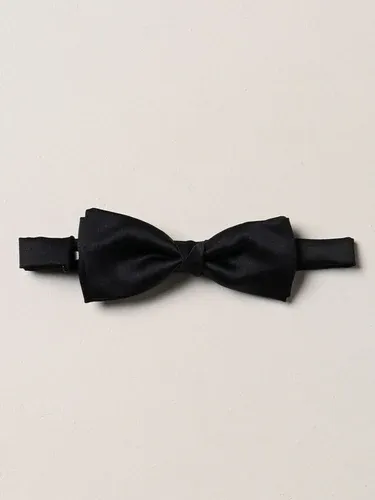 Papillon Manuel Ritz (57061562) Papillon Manuel Ritz (57061562)