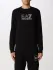 Felpa Ea7 in cotone con logo (57809793)