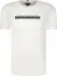 Tommy Hilfiger t-shirt big &amp; tall | regular fit (102321886)