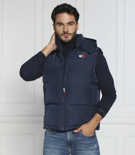 Tommy Jeans Smanicato ALASKA | Regular Fit (105697030)