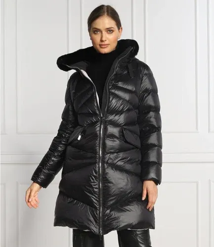 Diego M Piumino giacca | Regular Fit (105755715) Diego M Piumino giacca | Regular Fit (105755715)