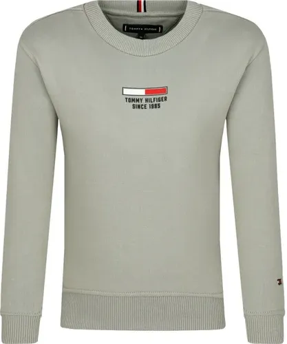 Tommy Hilfiger Felpa | Regular Fit (106023276)