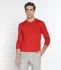 HUGO Diseta maglione San Cedric-M1 | Regular Fit (106217035)