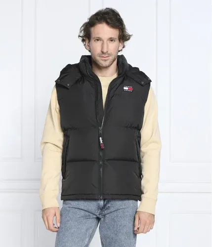 Tommy Jeans Smanicato ALASKA | Regular Fit (105697029)