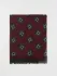 Sciarpa Fiorio in lana con disegno geometrico jacquard (106376966)